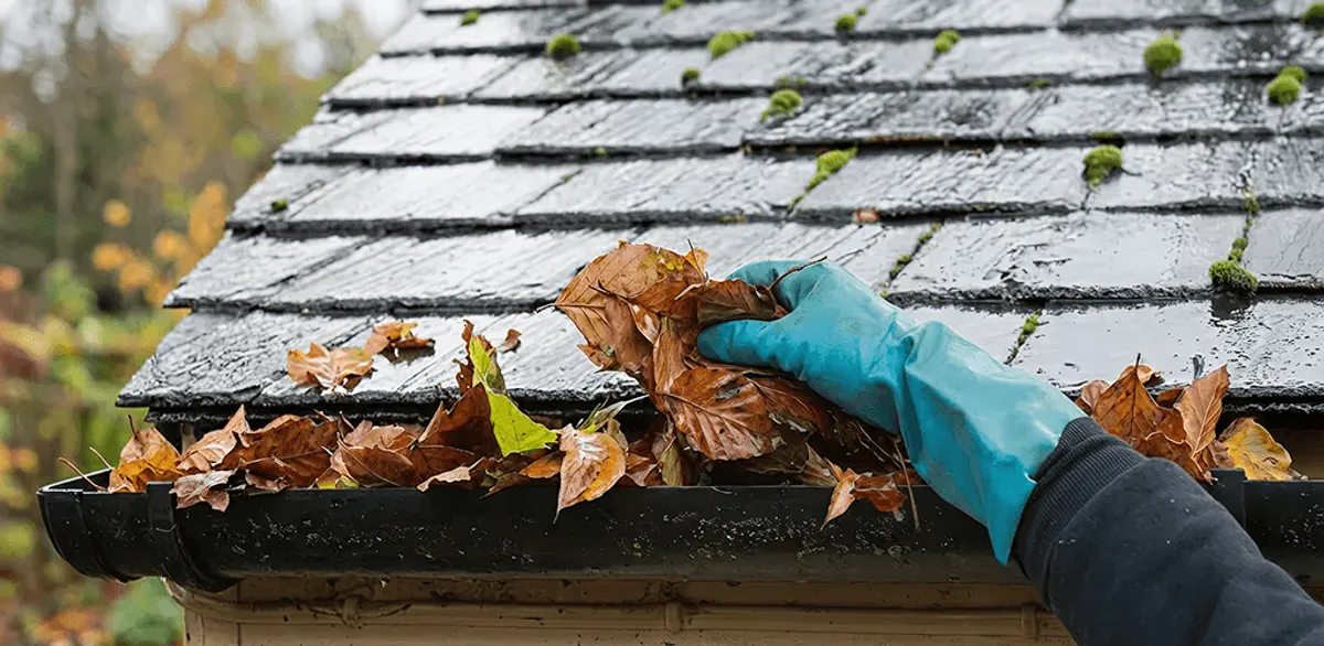 Gutter cleaning technician clearing wet leaves from roof gutters in Lakeland, FL